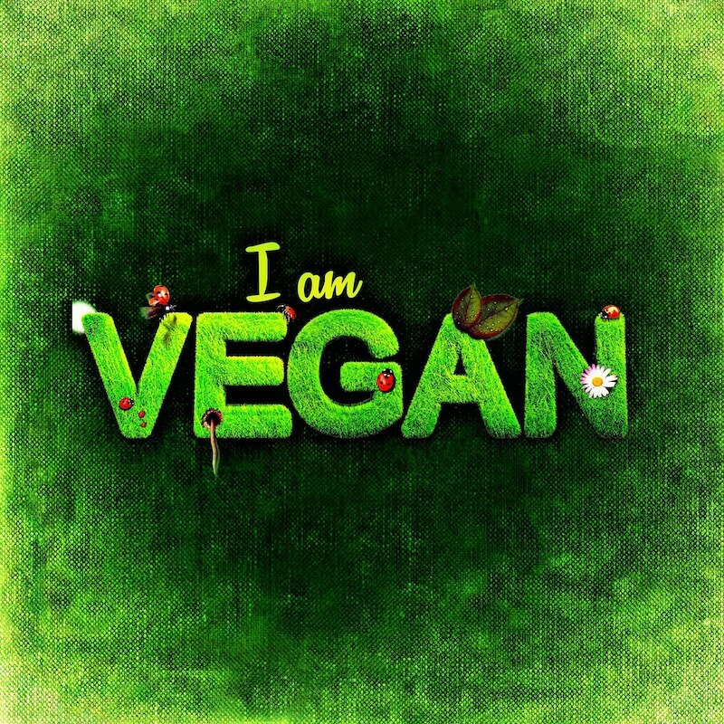 Green sign saying I am VEGAN