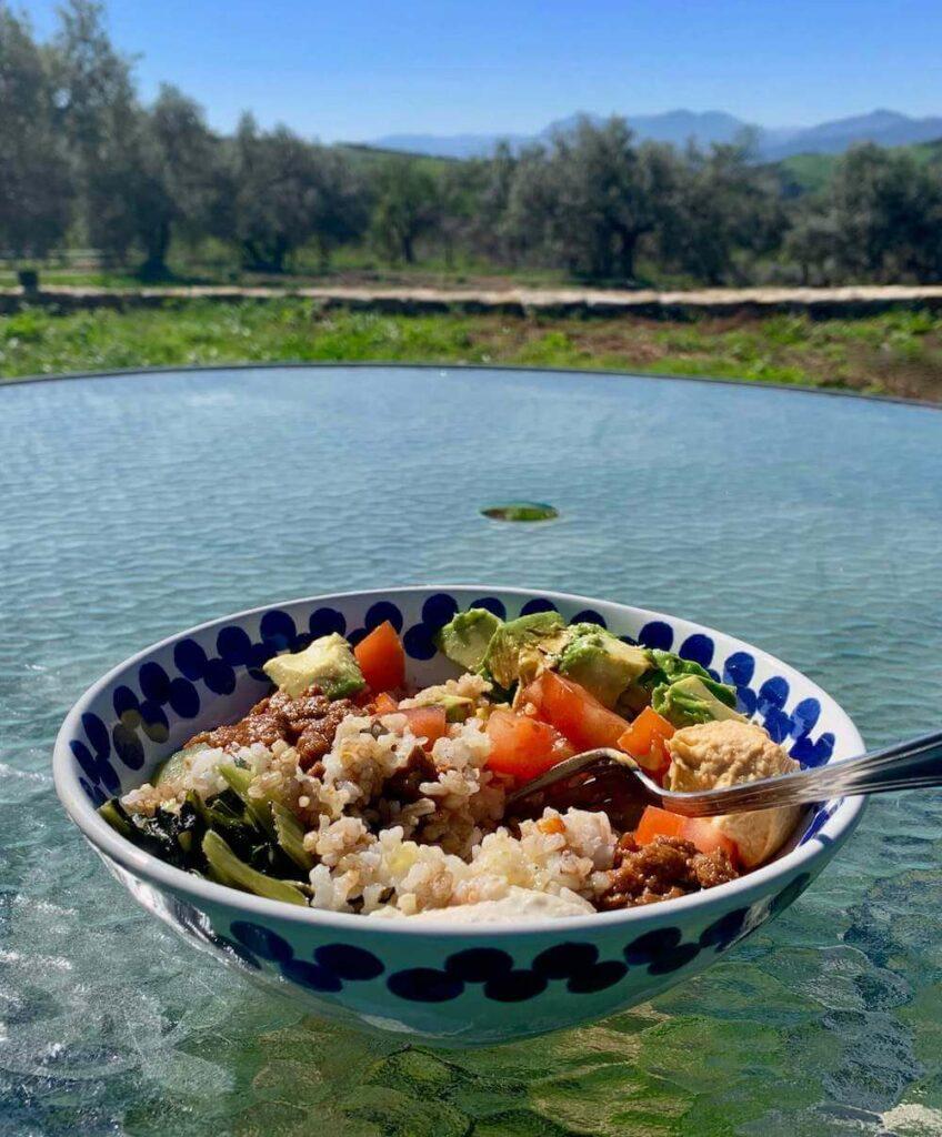 Bowl of food on a table in a garden with a view