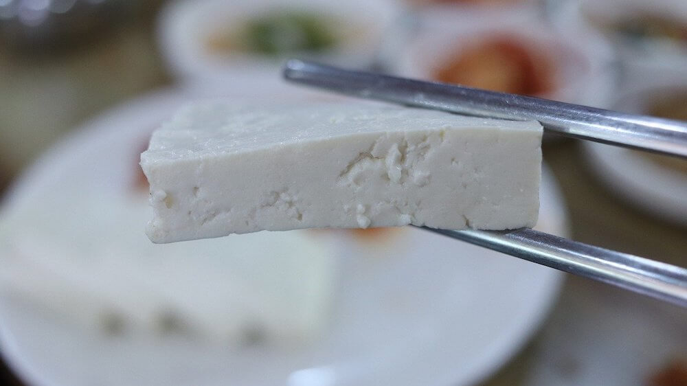 Slice of silky tofu