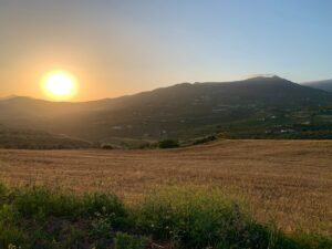 Sunset over a hill while out walking. Take up new activities when you change your relationship with alcohol