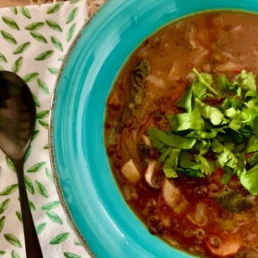 Best vegan lentil soup