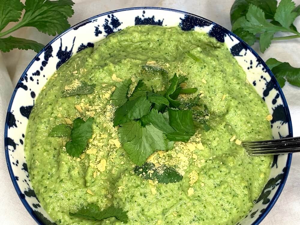 Close up of a bowl of oil free vegan cilantro pesto