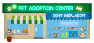 Adopt don't shop