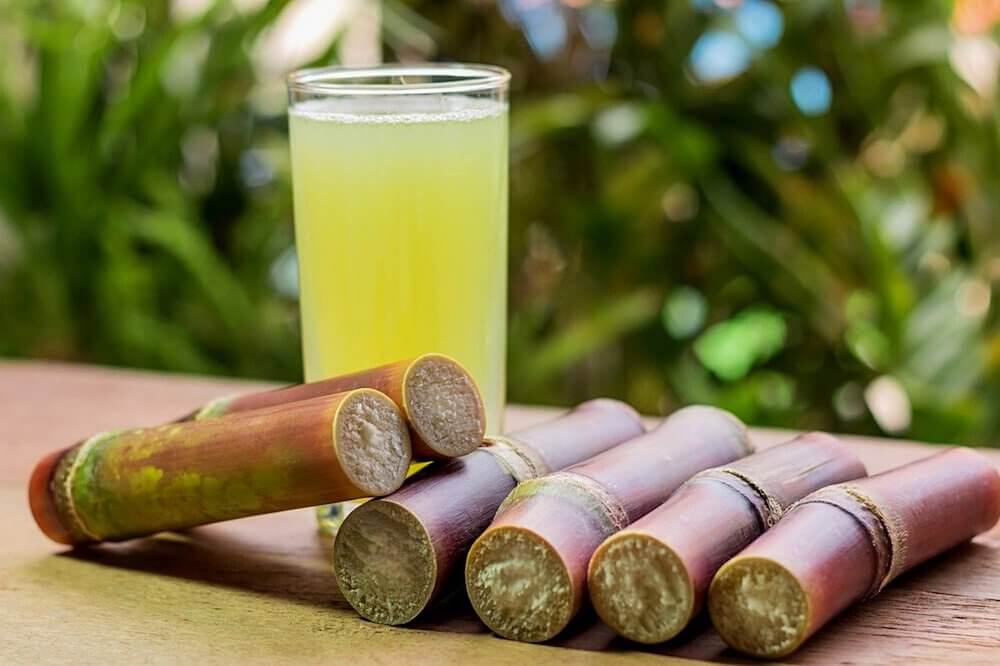 Is it true that sugar is processed with bone char? Photo of sugarcane sticks