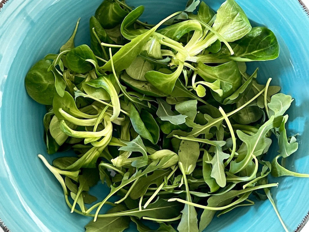 Green leaves, base to a delicious vegan bowl