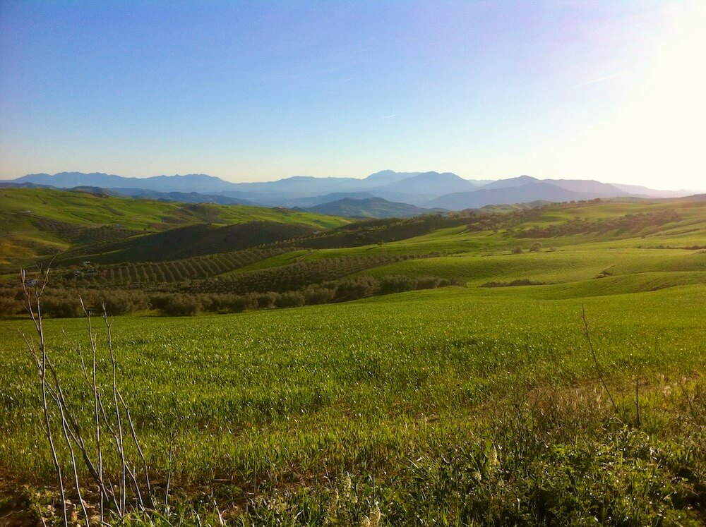 Green fields stretching away to the distant mountains on the horizon