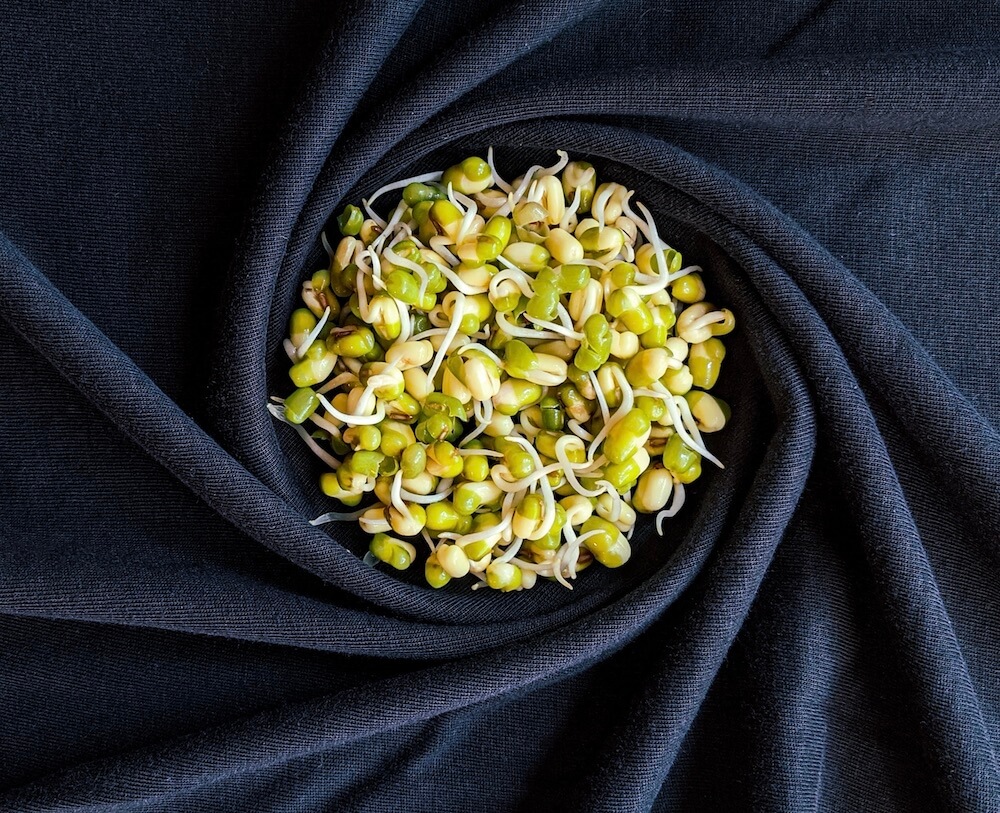 Sprouted mung beans