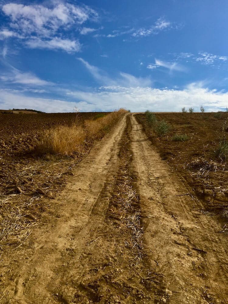 Why isn't my manifesting working? Follow the journey as it unfolds. Picture of a path leading off into the horizon