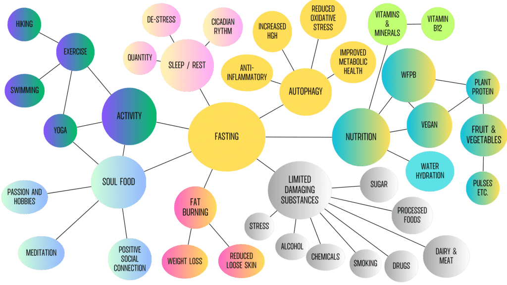 Mind-map showing how fasting to look younger depends on many other factors